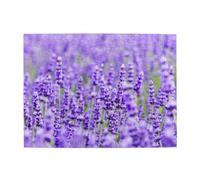 Purple Lavender Printed,500 Pieces Puzzles for Adults-Wooden Jigsaw Puzzle for Adults Elderly