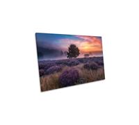 Purple Lavender Tree Sunset Haze Canvas Wall Art Picture Print CanvasGeeks Multi W30 inch x H20 inch x D20mm