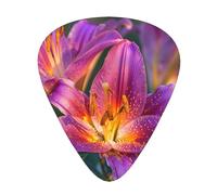 Purple Lily Flowers - Guitar Picks-12 Pack Includes Thin, Medium & Heavy Gauges, Best Gift for Guitar Lovers