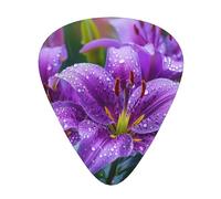 Purple Lily Flowers - Guitar Picks-12 Pack Includes Thin, Medium & Heavy Gauges, Best Gift for Guitar Lovers