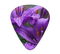 Purple Lily Flowers - Guitar Picks-12 Pack Includes Thin, Medium & Heavy Gauges, Best Gift for Guitar Lovers