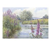 Purple Loosestrife, Margaret Tarrant - Medici Print