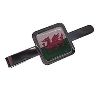 Purple Petals Jewellery Box Handmade Welsh National Flag - Silver Plated Mens Square Tie Pin - Gift Boxed