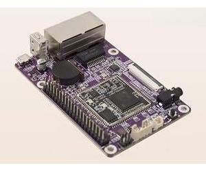Purple Pi R1-Ido-Sbc2D06 Single Board Computer - Dual 100M Ethernet Ports, Linux Os, Cortex-A7 Dual-Core 1.2Ghz Processor for Networking and Smart Home