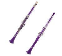 Purple Plastic Body Bb 17 Nickel Plated Key Clarinet Instrument Set Suitable For Beginners Clarinet Musical Instruments