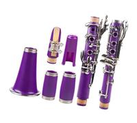Purple Plastic Body Clarinet 17 Keys Bb Tuned Instrument Surface Nickel Plated Clarinet Musical Instruments