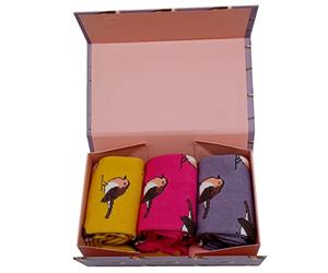 Purple Possum® Robin Socks Robins Gift Box 3 Pair Multi Pack Ladies Cute Birds Pink mustard yellow Bamboo Cotton blend