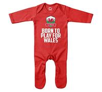 Purple Print House Baby Born to Play for Wales Romper Suit - Funny Baby Announcement Football Rugby Welsh Badge Gifts for Baby - Red Babies Cymru Fan Outfit, Red, 3-6 Months