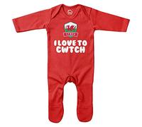 Purple Print House Baby I Love to Cwtch Romper Suit - Funny Baby Announcement Football Rugby Welsh Gifts for Baby - Babies Cymru Fan, Red, 3-6 Months