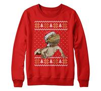 Purple Print House Christmas Bearded Dragon Sweatshirt Kids Xmas Jumper Day Festive Wildlife Santa Hat Sweater Gifts For Boys and Girls, 12-13 Years, Red