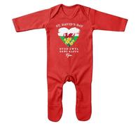 Purple Print House Customised St David's Day Romper Suit for Baby Girl Welsh Heart Dydd Gwyl Dewi Hapus Walse Dragon Cymru Baby Sleepsuit, 0-3 Months, Red