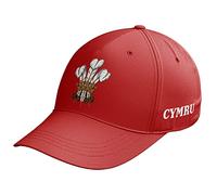 Purple Print House Cymru Badge Cap Mens Wales Feathers Baseball Hat Nations Rugby Supporter, One Size, Red