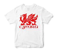 Purple Print House Cymru Dragon Rugby Kids T Shirt, Wales Birthday Gifts for Welsh Baby Rugby Fan, Welsh Flag Tournament Gift Idea, Nations Outfit for Boys and Girls, 3-4 Years, White