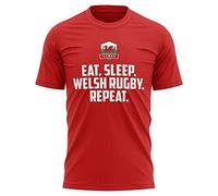 Purple Print House Eat Sleep Welsh Rugby Shirt, Funny T Shirts for Men, Wales Rugby Tshirt, Red Mens Top Dad Grandad Gifts Fathers Day Cymru, L, Red