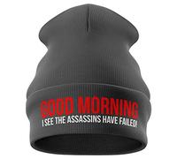 Purple Print House Funny Beanie Hat - I See The Assassins Have Failed - Novelty Winter Beanie Hat with Embroidered Slogan Geek Gift (Grey)