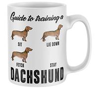 Purple Print House Funny Sausage Dog Mug Womens Dachshund Guide To Training Coffee and Tea Cup Birthday Gift for Sausage Dog Owner Men Women Puppy Dog Owners