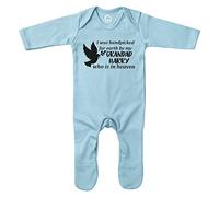 Purple Print House I was Handpicked for Earth by My Custom Family Heaven Baby Romper Suit, Personalised Grandparents, Gender Reveal Boys and Girls, 3-6 Months, Light Blue