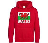 Purple Print House Kids Wales Dragon Hoodie Welsh Supporter Hooded Sweatshirt Boys Girls Cymru Rugby Hoody, 1-2 Years, Red