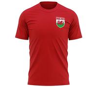 Purple Print House Mens Cymru Flag Badge Retro T Shirt - Cymru Shirt Football - Football Country European 2022 Supporters Gifts for Him - 2024 Wales Welsh Tournament Footy Soccer Top, L, Red