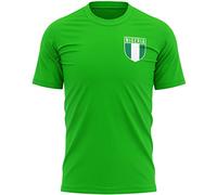 Purple Print House Nigeria Shirts for Men, Nigeria Flag Badge Retro T Shirt, Football Country Africa 2022 Supporters Gifts for Him or Her, 2024 World Tournament Footy Soccer Top, XL, Irish Green