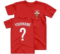 Purple Print House Personalised Cymru Rugby Shirt Kids, Wales Feathers Badge Custom Name and Number T Shirt, Welsh Rugby Retro Nations 2022 Rugga Gifts for Boys Girls, 9-11 Years, Red
