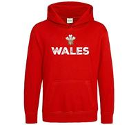 Purple Print House Prince of Wales Kids Hoodie Cymru Rugby Supporter Hoody Boys Girls Welsh Feathers, 7-8 Years, Red