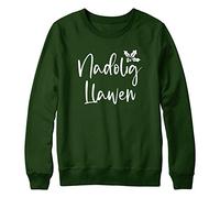 Purple Print House Unisex Nadolig Llawen Welsh Merry Christmas Sweatshirt - Slogan Christmas Jumper for Men Women Kids - Welsh, L, Bottle Green