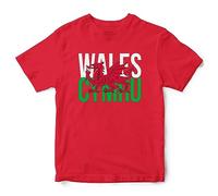 Purple Print House Wales Cymru Kids T Shirt Boy Girls Welsh Rugby Football Supporter St Davids Day Top Tee Her, 5-6 Years, Red