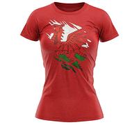Purple Print House Wales Torn Womens T Shirt, Wales Rugby Gifts, Wales Flag Torn, Welsh Gift, Cymru Rugby Girls Shirt, Wales Present for Her, XXL, Red