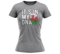 Purple Print House Welsh Cymru Flag Womens T Shirt Welsh Its in My DNA Wales Football World Top Tee, M, Sport Grey