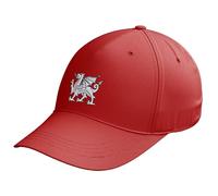 Purple Print House Welsh Dragon Embroidery Baseball Cap Unisex Wales Supporters Hat Cymru Rugby Football Fans, One Size, Red