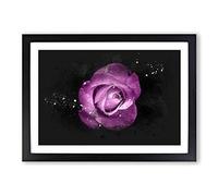 Purple Rose in The Shadows Paint Splash Framed Print | A2 Black Framed Wall Art | Ready to Hang | Modern Floral Picture | Living Room Bedroom Lounge Office