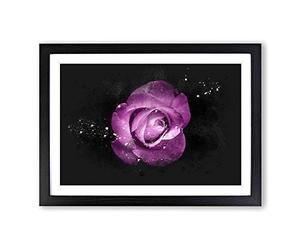 Purple Rose in The Shadows Paint Splash Framed Print | A2 Black Framed Wall Art | Ready to Hang | Modern Floral Picture | Living Room Bedroom Lounge Office