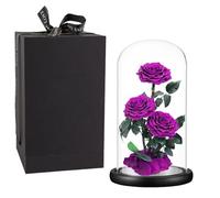 Purple Roses Handmade Preserved Real Rose in Glass Dome, Long Lasting Roses Never Withered Gifts for Her, Valentine's Day, Mother's Day, Birthday, Christmas, Anniversary(13 inch)