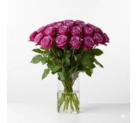 Purple Roses - Letterbox Gift - Fresh Flowers Delivered - Next Day-all occasions-birthday- thanks giving flowers (20)