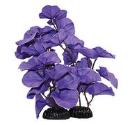 Purple Silk Like Lily Plant 50cm by KenKoi