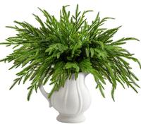 PURPLE STAR 1N 10 Pcs Christmas Norfolk Pine Branches- 19" Extra Length Artificial Xmas Branches Plants Pine Needles- Fake Greenery Norfolk Pine Stems Sprigs for DIY Craft Garland Home Garden Decor