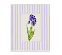 'Purple Stripe Iris'| Framed Giclee Art