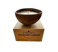 Purple Turtle Coconut Wax Candle with Tea Tree Scent - Organic - Hand Poured - Vegan