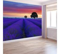 Purple Wall Wallpaper Mural Sunset Lavender Field Scene, Premium Non-Woven Wallpaper Mural for Bedroom livingroom Wall Decor 200 x 140 cm Art Print Photo Paper Poster