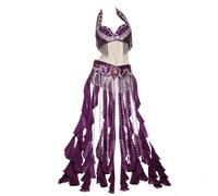 purpleq Women Belly Belly Carnival Dance Dress Professional Indian Bollywood Halloween Bra and Belt Mermaid Costume 2-Piece,purple,S