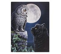 'Purrfect Wisdom' - Owl and Cat Canvas Plaque - 25cm x 19cm - Lisa Parker