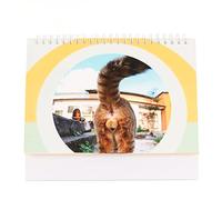 Purrfectly Amusing 2023 Cat Butt Desk Calendar - Standing FlipBack Design with Note Space for Office, Bedroom or Living Room