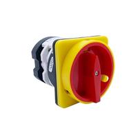 PURYN 20/25/32/50/75/125A Two Poles Rotary Cam Switch YMZ12 Series Padlock Power Cut Off Motor Control OFF-ON Silver Contact LW31(25A)