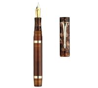 PURYN Resin Fountain Pen No. 6 Nib Fine Size 0.5mm with Converter Germany Imported Golden Clip Beautiful Writing Pen(Brown,With Gift Box)