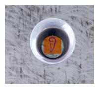 Puschnig,Wolfgang - Roots & Fruits