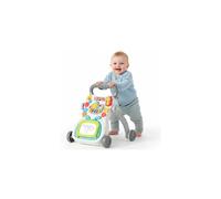 Push Along Baby Walker with Wheels Musical Toys