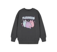 Pastel Pusheen Girls Grey Sweatshirt | Cute Kawaii Cat Graphic Jumper | Long Sleeve Pullover for Kids & Teens | Cosy Casual Pusheen Merchandise for Cat Loving Kids