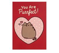 Pusheen the Cat Card Cute Love Valentine's