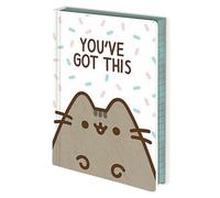 Pusheen You've Got This NotebookOne Size Cream/Brown BS3088